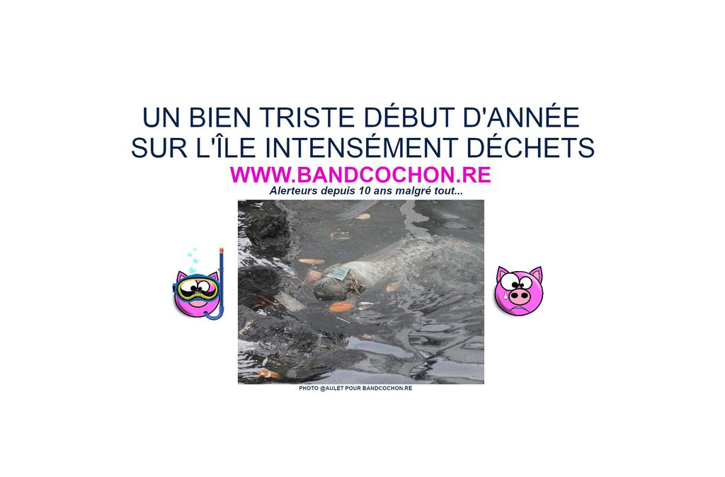 Image from princessefraise